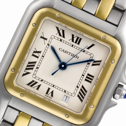 Cartier W25028B Panthere Quartz Male Stainless Steel