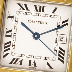 Cartier W20011C4 Santos Automatic Male Stainless Steel