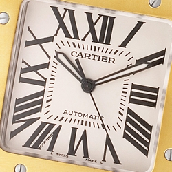 Cartier W20072X7 Santos 100 Automatic Male 18k gold & Stainless Steel