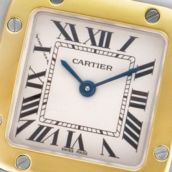 Cartier W20012C4 Santos Quartz Female Stainless Steel