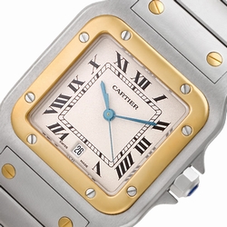 Cartier W20011C4 Santos Quartz Male Stainless Steel