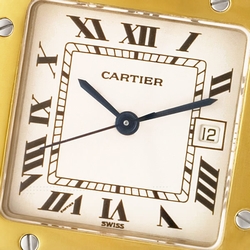 Cartier W20058C4 Santos Automatic Male Stainless Steel