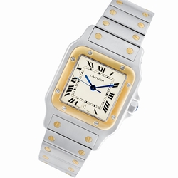 Cartier W20011C4 Santos Quartz Male Stainless Steel