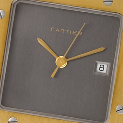 Cartier w20058c4 Santos Automatic Male Stainless Steel