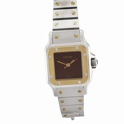 Cartier w20057c4 Santos Automatic Female Stainless Steel
