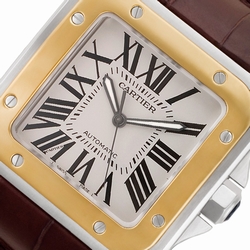 Cartier W20072X7 Santos 100 Automatic Male Stainless Steel