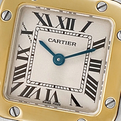 Cartier W20012C4 Santos Quartz Female Stainless Steel