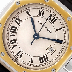 Cartier Cartier 1641 Santos Automatic Male Stainless Steel