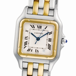Cartier W25028B Panthere Quartz Male Stainless Steel