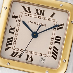 Cartier W25028B Panthere Quartz Male Stainless Steel
