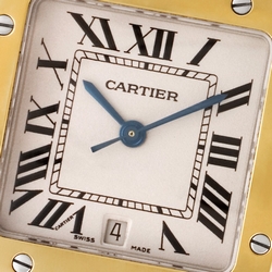 Cartier W20011C4 Santos Quartz Male Stainless Steel