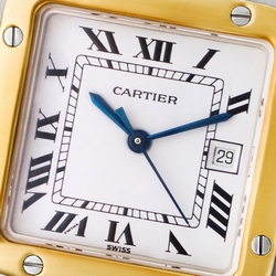 Cartier W20058C4 Santos Automatic Male Stainless Steel