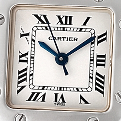 Cartier w20054d6 Santos Automatic Female Stainless Steel