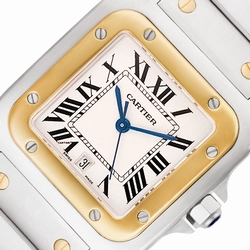Cartier W20011C4 Santos Quartz Male Stainless Steel