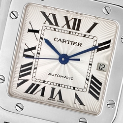 Cartier W20055D6 Santos Automatic Male Stainless Steel