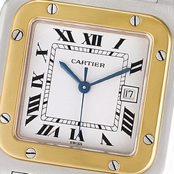 Cartier W20058C4 Santos Automatic Male Stainless Steel
