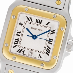 Cartier W20011C4 Santos Quartz Male Stainless Steel