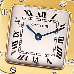 Cartier W20012C4 Santos Quartz Female Stainless Steel