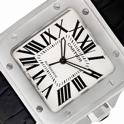 Cartier W20073X8 Santos 100 Automatic Male Stainless Steel