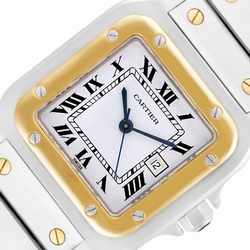Cartier W20058C4 Santos Automatic Male Stainless Steel