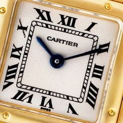 Cartier W25022B9 Panthere Quartz Female 18k yellow gold