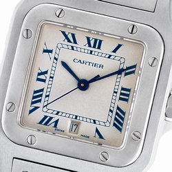 Cartier W20060D6 Santos Quartz Male Stainless Steel