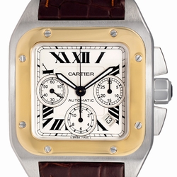 Cartier w20091x7 Santos 100 Automatic Male Stainless Steel