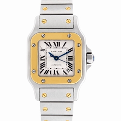 Cartier Cartier 2030 Santos Automatic Female Stainless Steel