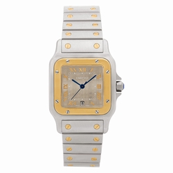 Cartier W20030C4 Santos Quartz Male Stainless Steel