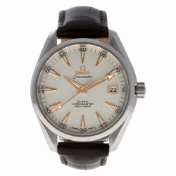 Omega 231.13.42.21.02.002 Seamaster Aqua Terra Automatic Male Stainless Steel