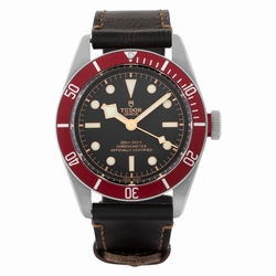 Tudor 79230r black bay Automatic Male Stainless Steel