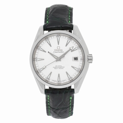 Omega 23113422102001 Seamaster Automatic Male Stainless Steel